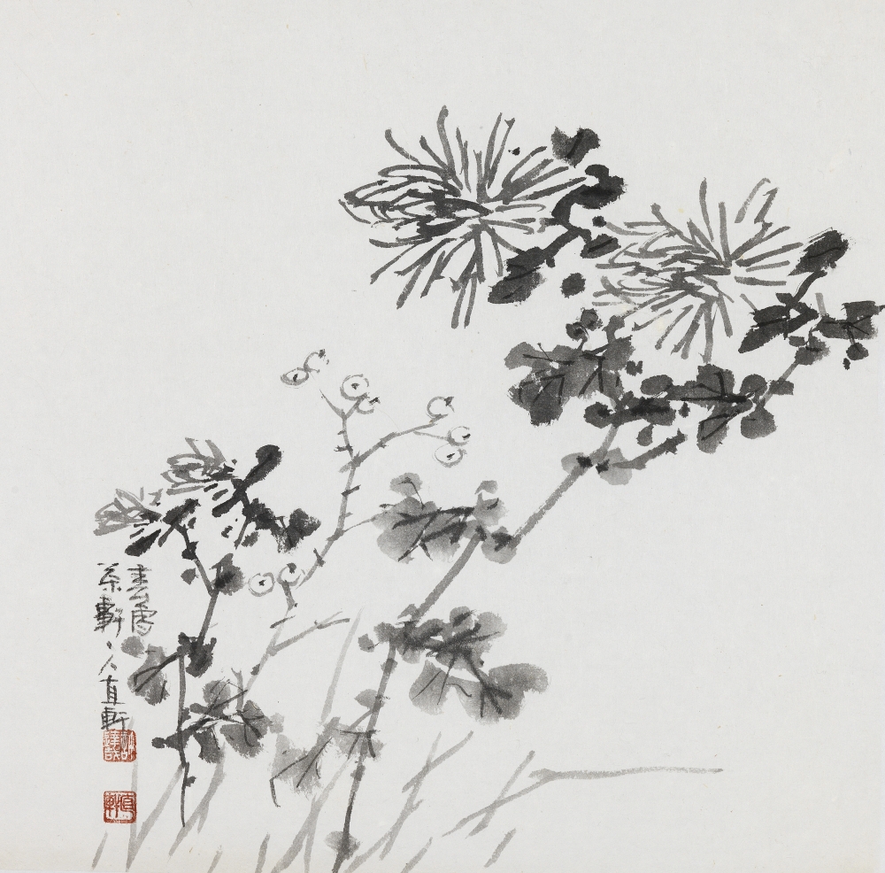 국화(菊花)
